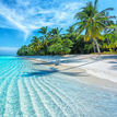 shutterstock_1938868960-1000x630.jpg